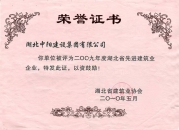 2009年度湖北省先進建筑業(yè)企業(yè)