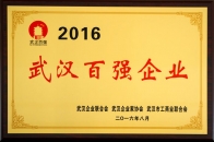 2016武漢百強(qiáng)企業(yè)